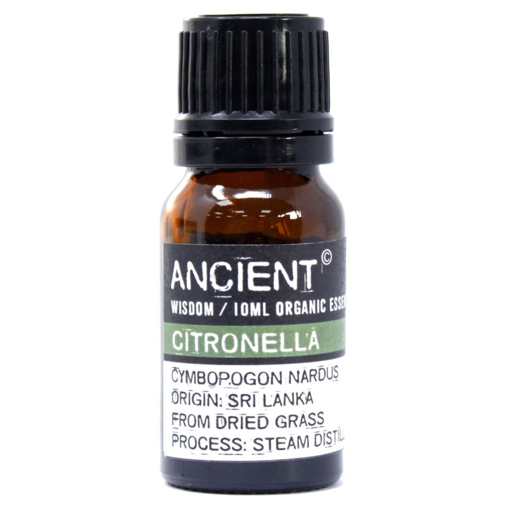 Citronella Aromatherapy Essential Oil 10ml – gallery image 3